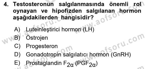 Doğum Bilgisi ve Suni Tohumlama Dersi 2023 - 2024 Yılı (Final) Dönem Sonu Sınav Soruları 4. Soru