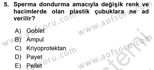 Doğum Bilgisi ve Suni Tohumlama Dersi 2023 - 2024 Yılı (Final) Dönem Sonu Sınav Soruları 5. Soru