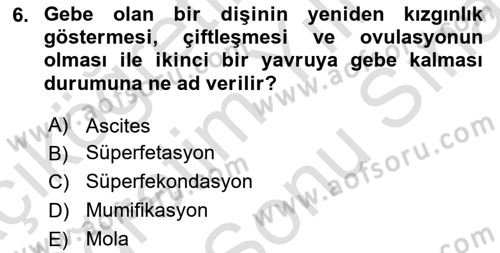 Doğum Bilgisi ve Suni Tohumlama Dersi 2023 - 2024 Yılı (Final) Dönem Sonu Sınav Soruları 6. Soru
