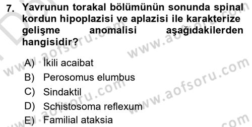 Doğum Bilgisi ve Suni Tohumlama Dersi 2023 - 2024 Yılı (Final) Dönem Sonu Sınav Soruları 7. Soru