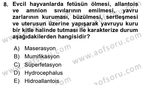 Doğum Bilgisi ve Suni Tohumlama Dersi 2023 - 2024 Yılı (Final) Dönem Sonu Sınav Soruları 8. Soru