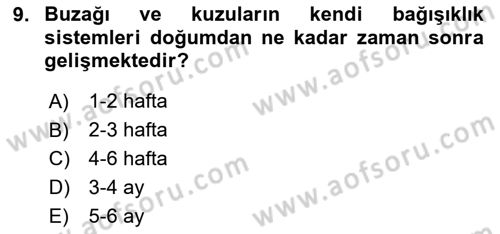 Doğum Bilgisi ve Suni Tohumlama Dersi 2023 - 2024 Yılı (Final) Dönem Sonu Sınav Soruları 9. Soru