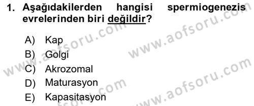 Doğum Bilgisi ve Suni Tohumlama Dersi 2023 - 2024 Yılı Yaz Okulu Sınav Soruları 1. Soru