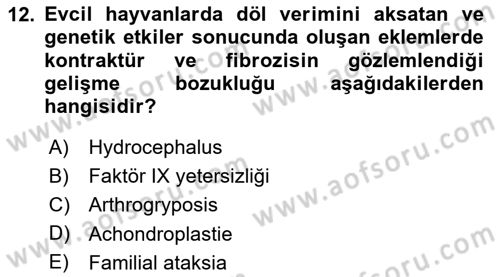 Doğum Bilgisi ve Suni Tohumlama Dersi 2023 - 2024 Yılı Yaz Okulu Sınav Soruları 12. Soru