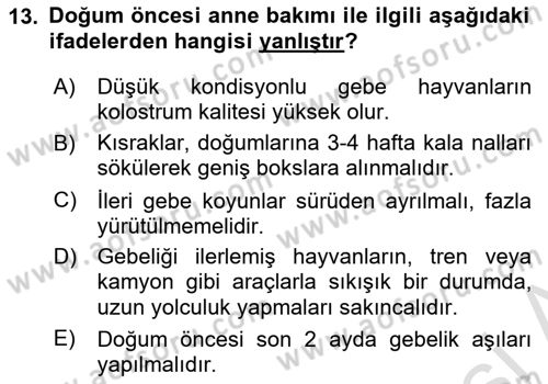 Doğum Bilgisi ve Suni Tohumlama Dersi 2023 - 2024 Yılı Yaz Okulu Sınav Soruları 13. Soru
