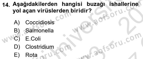Doğum Bilgisi ve Suni Tohumlama Dersi 2023 - 2024 Yılı Yaz Okulu Sınav Soruları 14. Soru