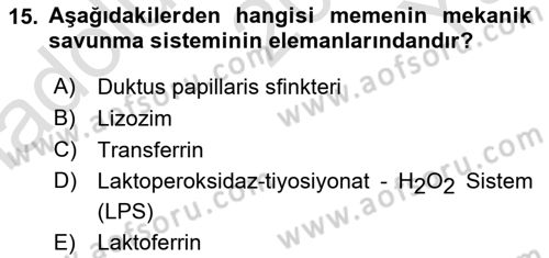 Doğum Bilgisi ve Suni Tohumlama Dersi 2023 - 2024 Yılı Yaz Okulu Sınav Soruları 15. Soru