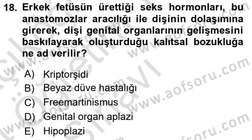 Doğum Bilgisi ve Suni Tohumlama Dersi 2023 - 2024 Yılı Yaz Okulu Sınav Soruları 18. Soru