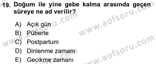 Doğum Bilgisi ve Suni Tohumlama Dersi 2023 - 2024 Yılı Yaz Okulu Sınav Soruları 19. Soru