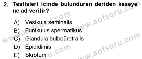 Doğum Bilgisi ve Suni Tohumlama Dersi 2023 - 2024 Yılı Yaz Okulu Sınav Soruları 2. Soru