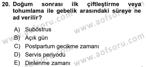 Doğum Bilgisi ve Suni Tohumlama Dersi 2023 - 2024 Yılı Yaz Okulu Sınav Soruları 20. Soru