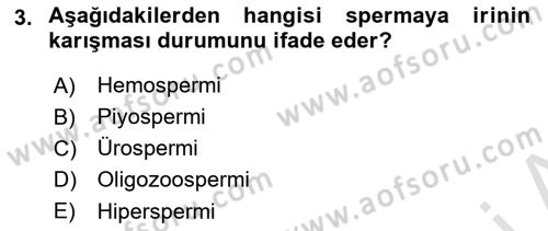 Doğum Bilgisi ve Suni Tohumlama Dersi 2023 - 2024 Yılı Yaz Okulu Sınav Soruları 3. Soru