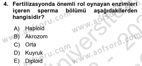 Doğum Bilgisi ve Suni Tohumlama Dersi 2023 - 2024 Yılı Yaz Okulu Sınav Soruları 4. Soru
