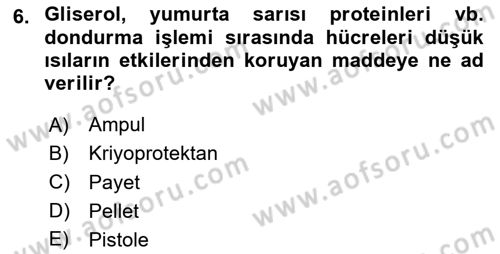 Doğum Bilgisi ve Suni Tohumlama Dersi 2023 - 2024 Yılı Yaz Okulu Sınav Soruları 6. Soru