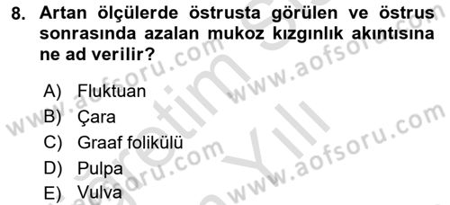 Doğum Bilgisi ve Suni Tohumlama Dersi 2023 - 2024 Yılı Yaz Okulu Sınav Soruları 8. Soru