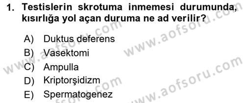 Doğum Bilgisi ve Suni Tohumlama Dersi 2024 - 2025 Yılı (Vize) Ara Sınav Soruları 1. Soru