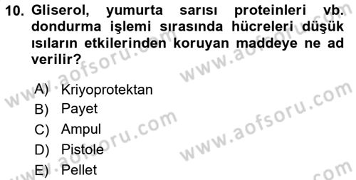 Doğum Bilgisi ve Suni Tohumlama Dersi 2024 - 2025 Yılı (Vize) Ara Sınav Soruları 10. Soru