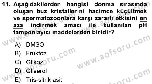 Doğum Bilgisi ve Suni Tohumlama Dersi 2024 - 2025 Yılı (Vize) Ara Sınav Soruları 11. Soru