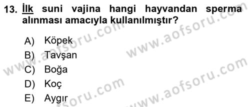 Doğum Bilgisi ve Suni Tohumlama Dersi 2024 - 2025 Yılı (Vize) Ara Sınav Soruları 13. Soru