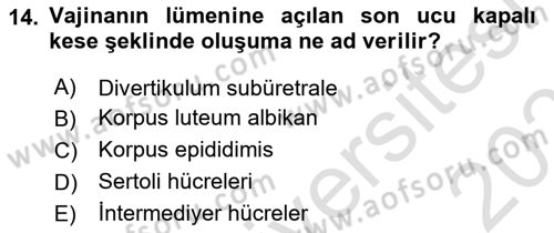 Doğum Bilgisi ve Suni Tohumlama Dersi 2024 - 2025 Yılı (Vize) Ara Sınav Soruları 14. Soru