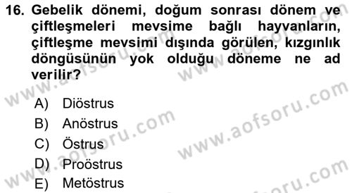 Doğum Bilgisi ve Suni Tohumlama Dersi 2024 - 2025 Yılı (Vize) Ara Sınav Soruları 16. Soru