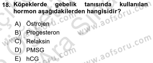 Doğum Bilgisi ve Suni Tohumlama Dersi 2024 - 2025 Yılı (Vize) Ara Sınav Soruları 18. Soru
