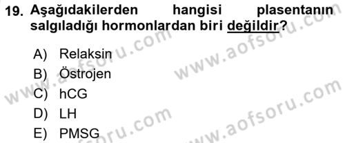 Doğum Bilgisi ve Suni Tohumlama Dersi 2024 - 2025 Yılı (Vize) Ara Sınav Soruları 19. Soru