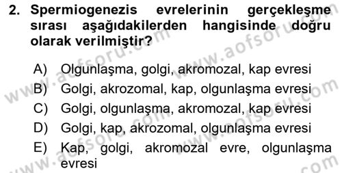 Doğum Bilgisi ve Suni Tohumlama Dersi 2024 - 2025 Yılı (Vize) Ara Sınav Soruları 2. Soru