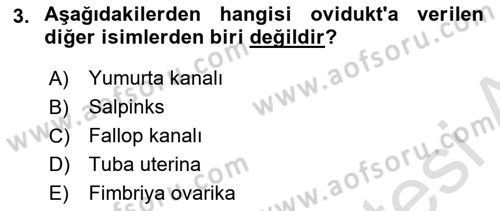 Doğum Bilgisi ve Suni Tohumlama Dersi 2024 - 2025 Yılı (Vize) Ara Sınav Soruları 3. Soru