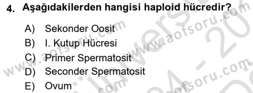 Doğum Bilgisi ve Suni Tohumlama Dersi 2024 - 2025 Yılı (Vize) Ara Sınav Soruları 4. Soru