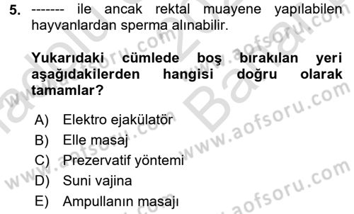 Doğum Bilgisi ve Suni Tohumlama Dersi 2024 - 2025 Yılı (Vize) Ara Sınav Soruları 5. Soru