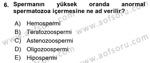 Doğum Bilgisi ve Suni Tohumlama Dersi 2024 - 2025 Yılı (Vize) Ara Sınav Soruları 6. Soru