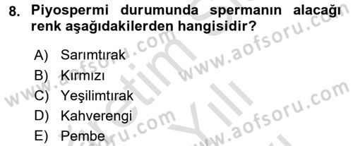 Doğum Bilgisi ve Suni Tohumlama Dersi 2024 - 2025 Yılı (Vize) Ara Sınav Soruları 8. Soru