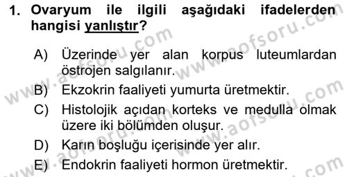 Doğum Bilgisi ve Suni Tohumlama Dersi 2024 - 2025 Yılı (Final) Dönem Sonu Sınav Soruları 1. Soru