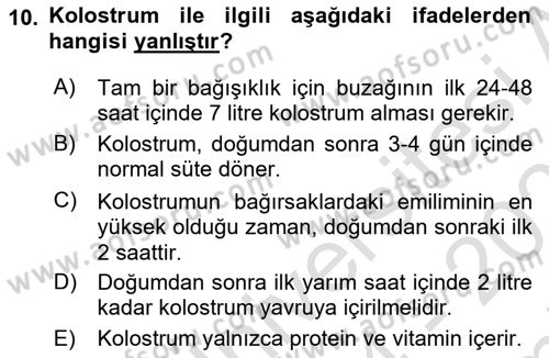 Doğum Bilgisi ve Suni Tohumlama Dersi 2024 - 2025 Yılı (Final) Dönem Sonu Sınav Soruları 10. Soru