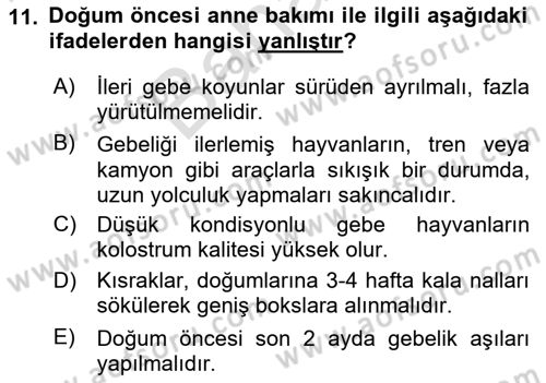 Doğum Bilgisi ve Suni Tohumlama Dersi 2024 - 2025 Yılı (Final) Dönem Sonu Sınav Soruları 11. Soru