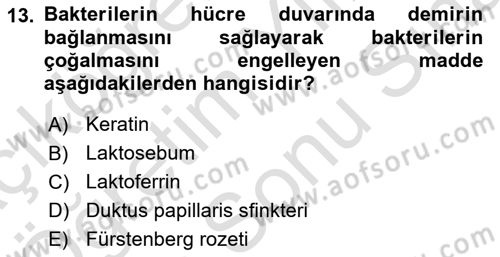 Doğum Bilgisi ve Suni Tohumlama Dersi 2024 - 2025 Yılı (Final) Dönem Sonu Sınav Soruları 13. Soru