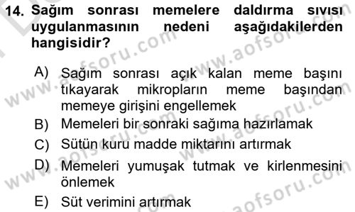 Doğum Bilgisi ve Suni Tohumlama Dersi 2024 - 2025 Yılı (Final) Dönem Sonu Sınav Soruları 14. Soru