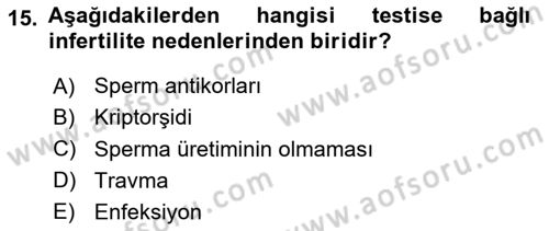 Doğum Bilgisi ve Suni Tohumlama Dersi 2024 - 2025 Yılı (Final) Dönem Sonu Sınav Soruları 15. Soru