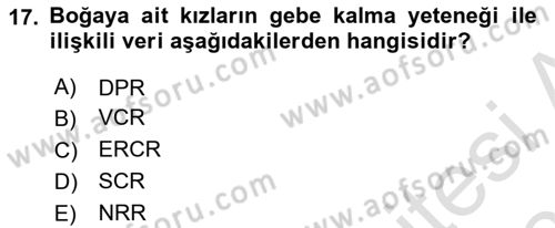 Doğum Bilgisi ve Suni Tohumlama Dersi 2024 - 2025 Yılı (Final) Dönem Sonu Sınav Soruları 17. Soru