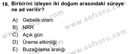 Doğum Bilgisi ve Suni Tohumlama Dersi 2024 - 2025 Yılı (Final) Dönem Sonu Sınav Soruları 19. Soru