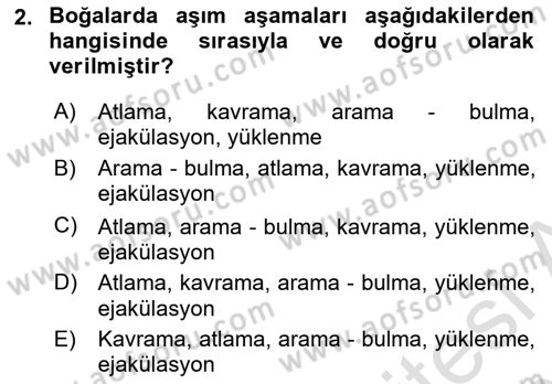 Doğum Bilgisi ve Suni Tohumlama Dersi 2024 - 2025 Yılı (Final) Dönem Sonu Sınav Soruları 2. Soru