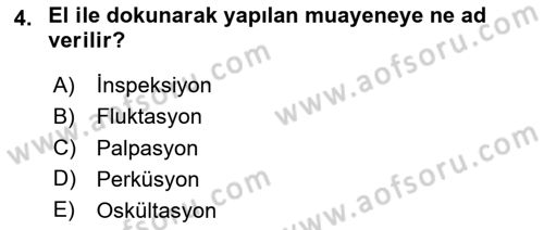 Doğum Bilgisi ve Suni Tohumlama Dersi 2024 - 2025 Yılı (Final) Dönem Sonu Sınav Soruları 4. Soru