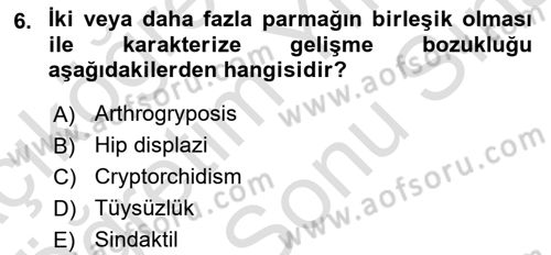 Doğum Bilgisi ve Suni Tohumlama Dersi 2024 - 2025 Yılı (Final) Dönem Sonu Sınav Soruları 6. Soru