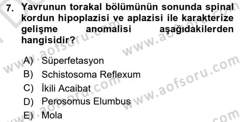 Doğum Bilgisi ve Suni Tohumlama Dersi 2024 - 2025 Yılı (Final) Dönem Sonu Sınav Soruları 7. Soru