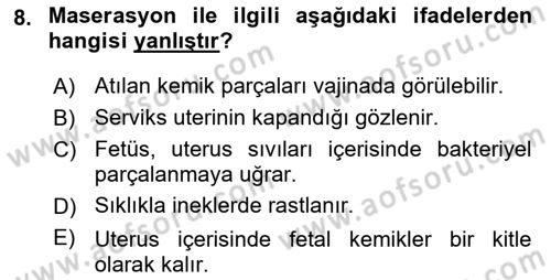 Doğum Bilgisi ve Suni Tohumlama Dersi 2024 - 2025 Yılı (Final) Dönem Sonu Sınav Soruları 8. Soru