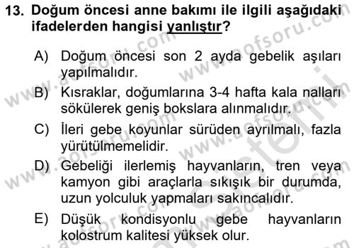 Doğum Bilgisi ve Suni Tohumlama Dersi 2024 - 2025 Yılı Yaz Okulu Sınav Soruları 13. Soru