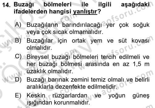 Doğum Bilgisi ve Suni Tohumlama Dersi 2024 - 2025 Yılı Yaz Okulu Sınav Soruları 14. Soru