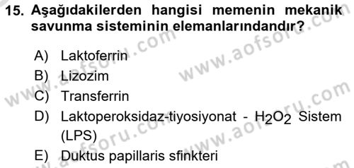 Doğum Bilgisi ve Suni Tohumlama Dersi 2024 - 2025 Yılı Yaz Okulu Sınav Soruları 15. Soru
