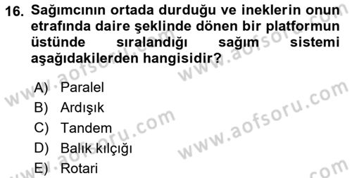 Doğum Bilgisi ve Suni Tohumlama Dersi 2024 - 2025 Yılı Yaz Okulu Sınav Soruları 16. Soru